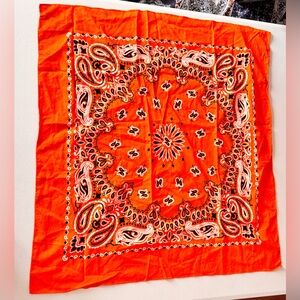 Large Orange Paisley